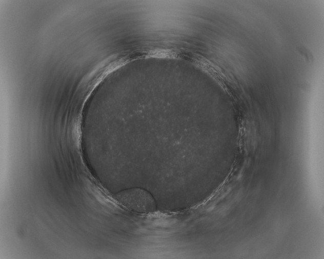 X0000113260290200909241528