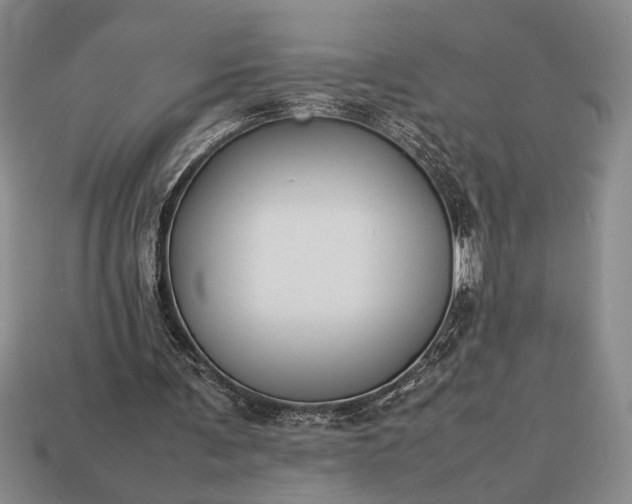 X0000113260291200909241528