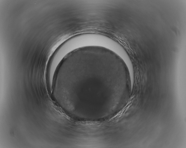 X0000113260292200909241528