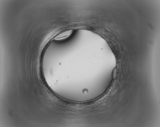 X0000113260293200909241528