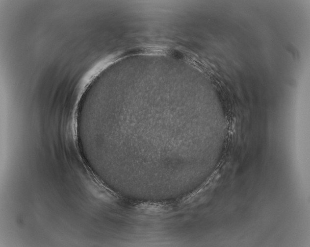 X0000113260294200909241528