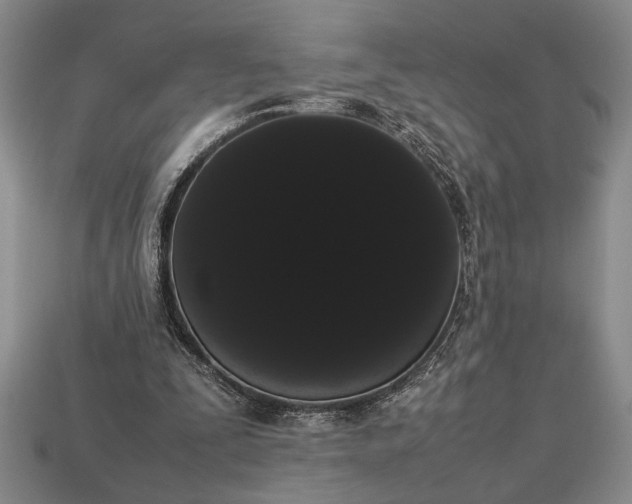 X0000113260295200909241528