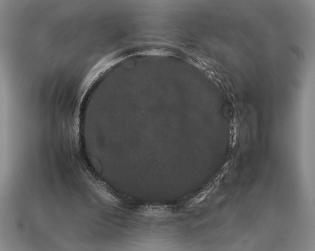 X0000113260296200909241528