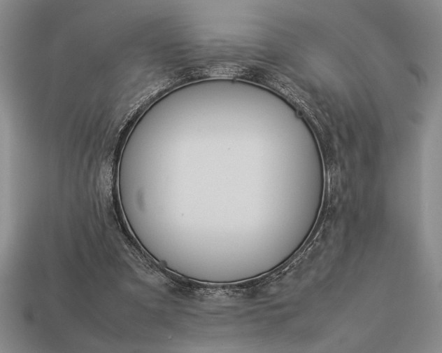 X0000113260297200909241528