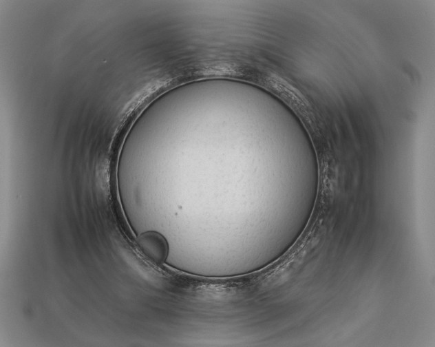 X0000113260298200909241528