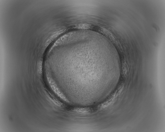 X0000113260299200909241528