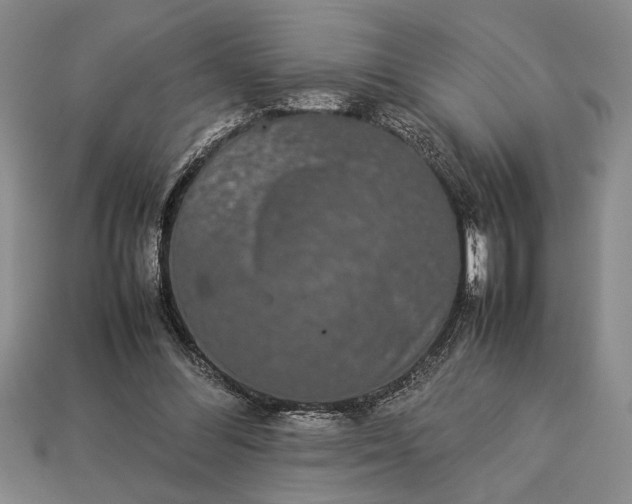 X0000113260300200909241528