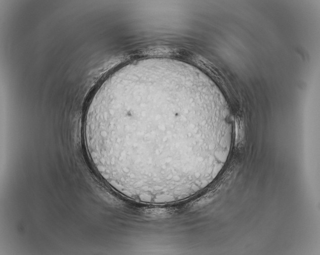 X0000113260301200909241528