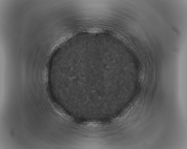 X0000113260303200909241528