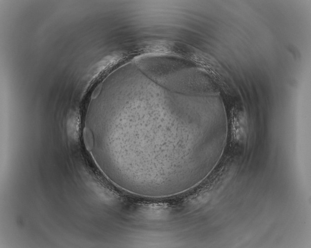 X0000113260304200909241528