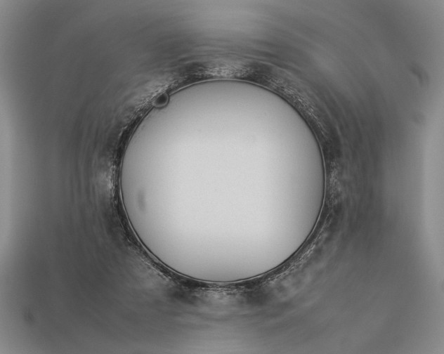 X0000113260305200909241528