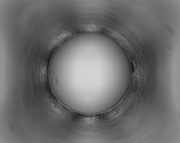 X0000113260306200909241528