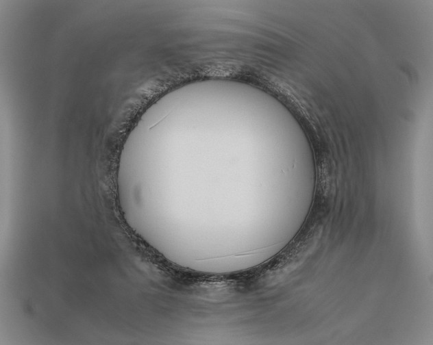 X0000113260307200909241528