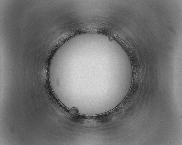 X0000113260309200909241528