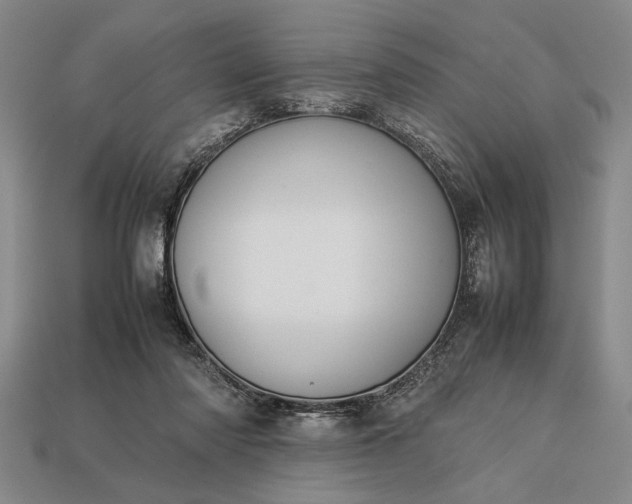 X0000113260310200909241528