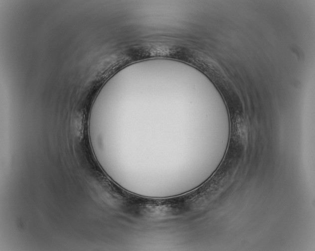 X0000113260311200909241528