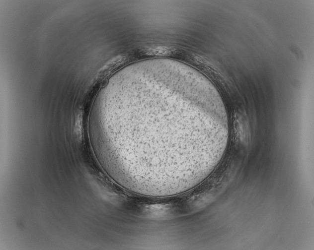 X0000113260312200909241528