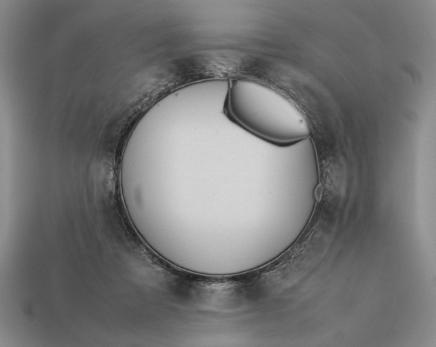 X0000113260313200909241528