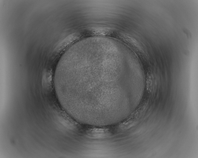 X0000113260314200909241528