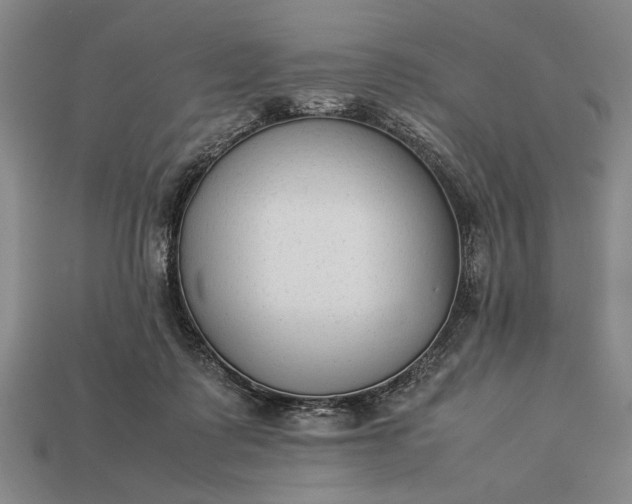 X0000113260315200909241528