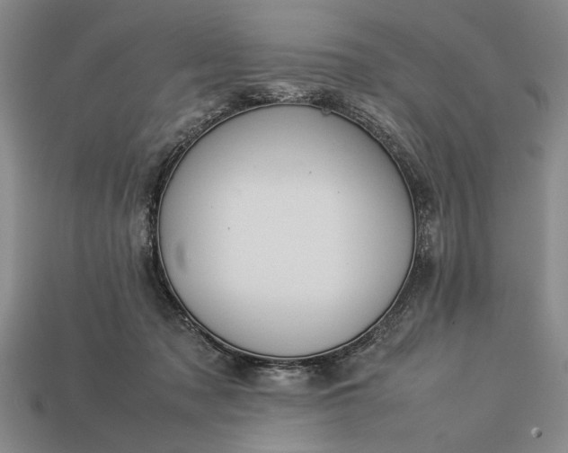 X0000113260317200909241528