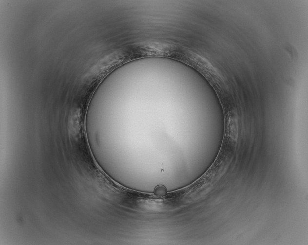 X0000113260318200909241528