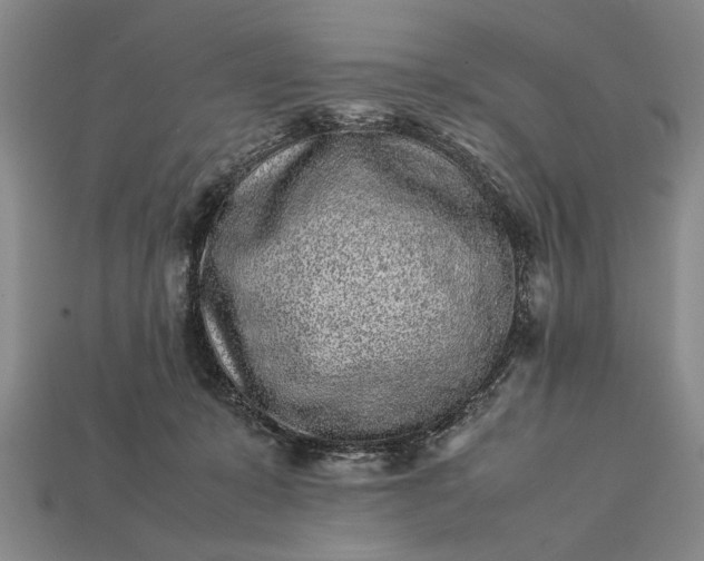 X0000113260319200909241528