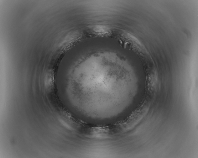 X0000113260320200909241528