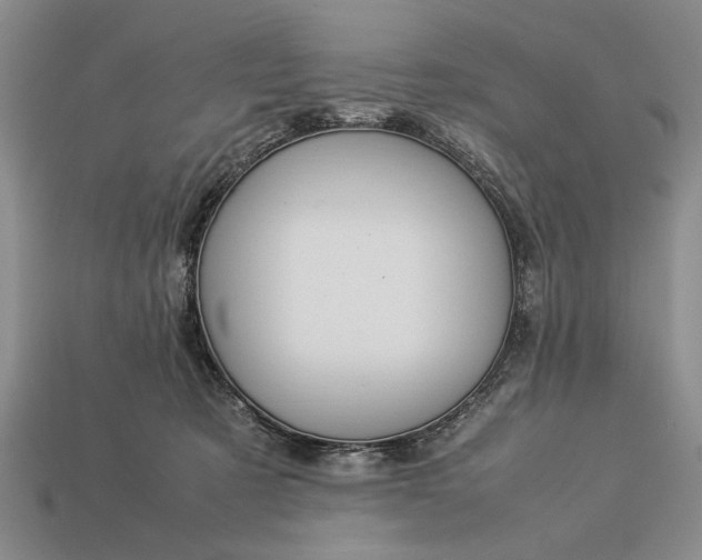 X0000113260321200909241528