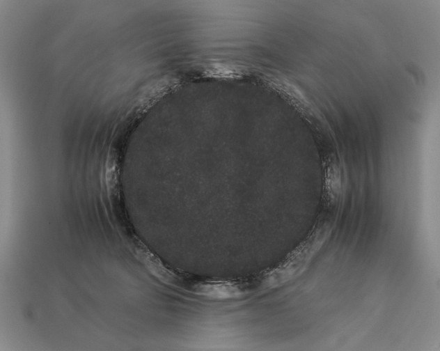 X0000113260322200909241528