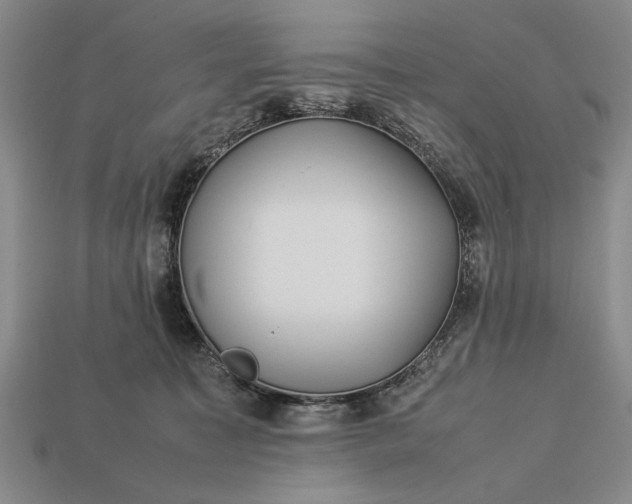 X0000113260323200909241528