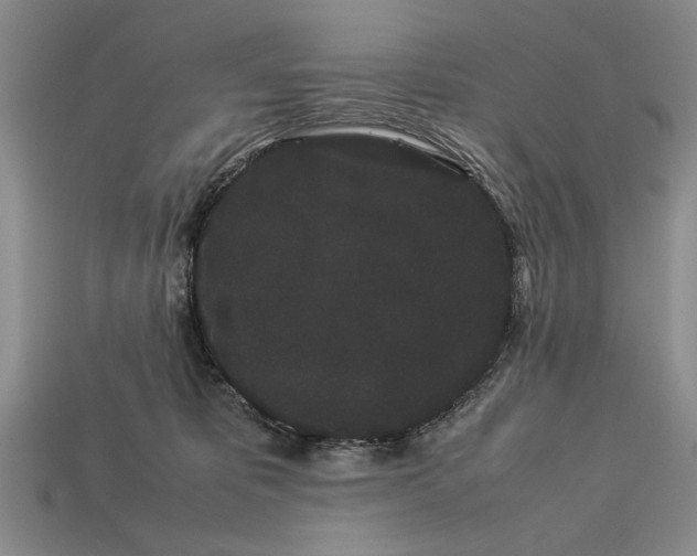 X0000113260325200909241528