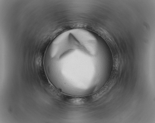 X0000113260326200909241528