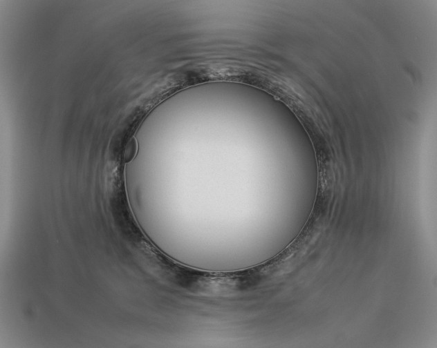 X0000113260327200909241528