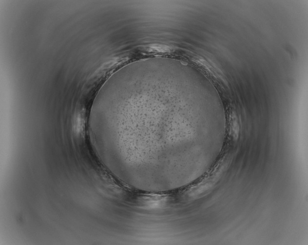 X0000113260328200909241528