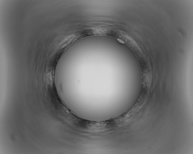 X0000113260329200909241528