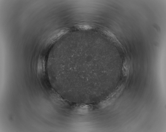 X0000113260330200909241528