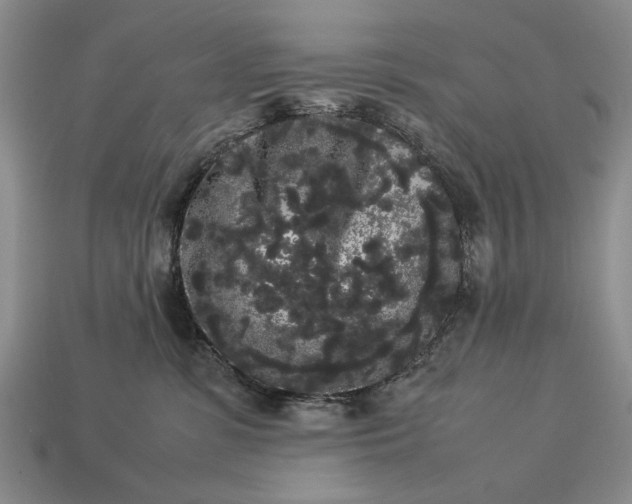 X0000113260331200909241528