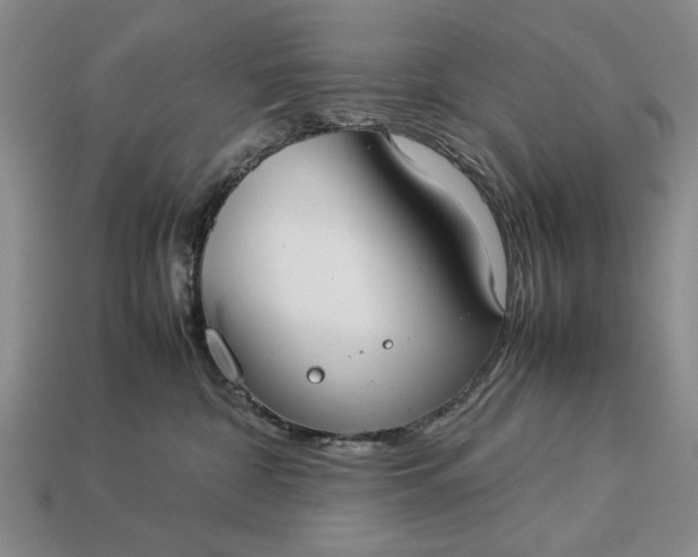 X0000113260332200909241528