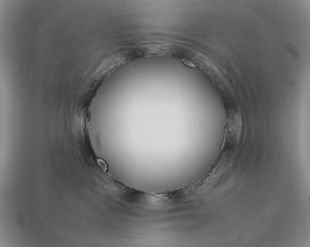 X0000113260333200909241527