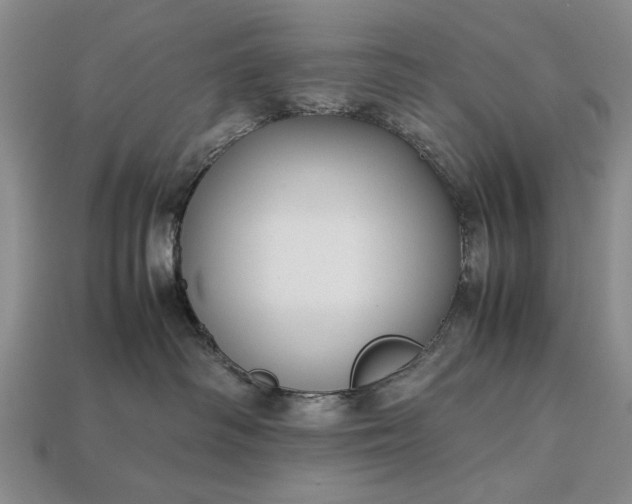 X0000113260334200909241527