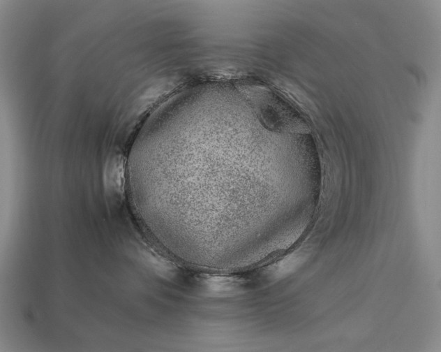 X0000113260336200909241527