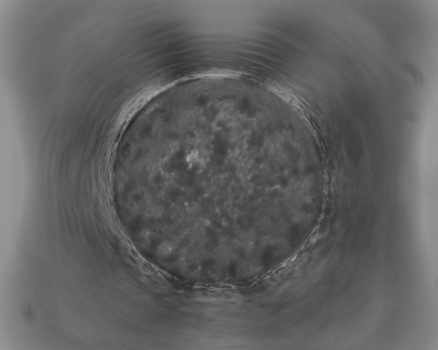 X0000113260337200909241527