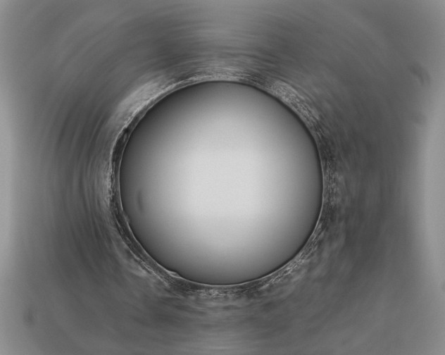 X0000113260338200909241527