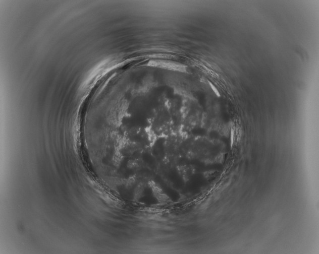 X0000113260339200909241527