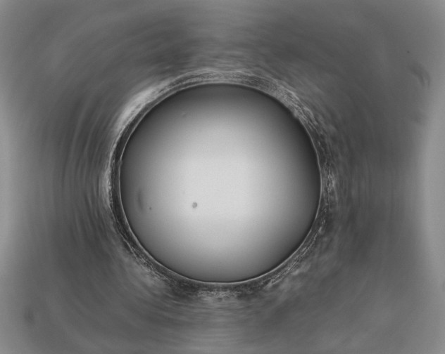 X0000113260340200909241527