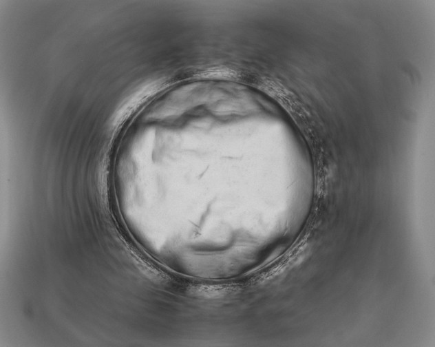 X0000113260341200909241527