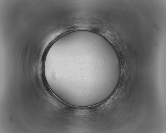 X0000113260342200909241527