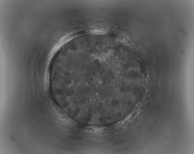 X0000113260343200909241527