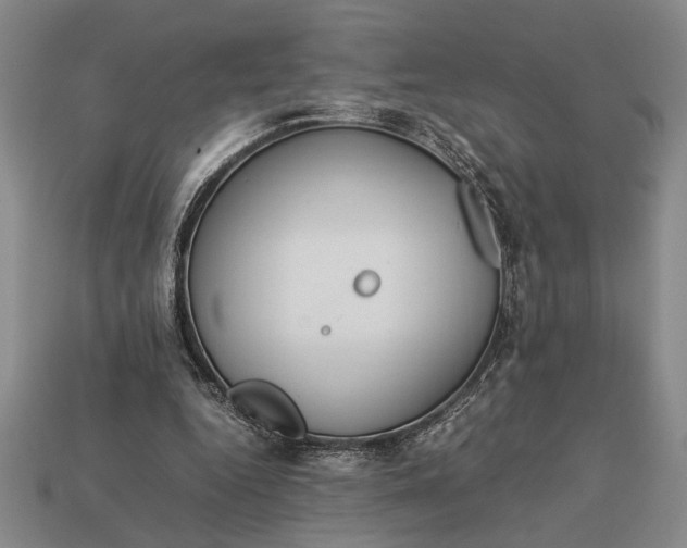 X0000113260344200909241527